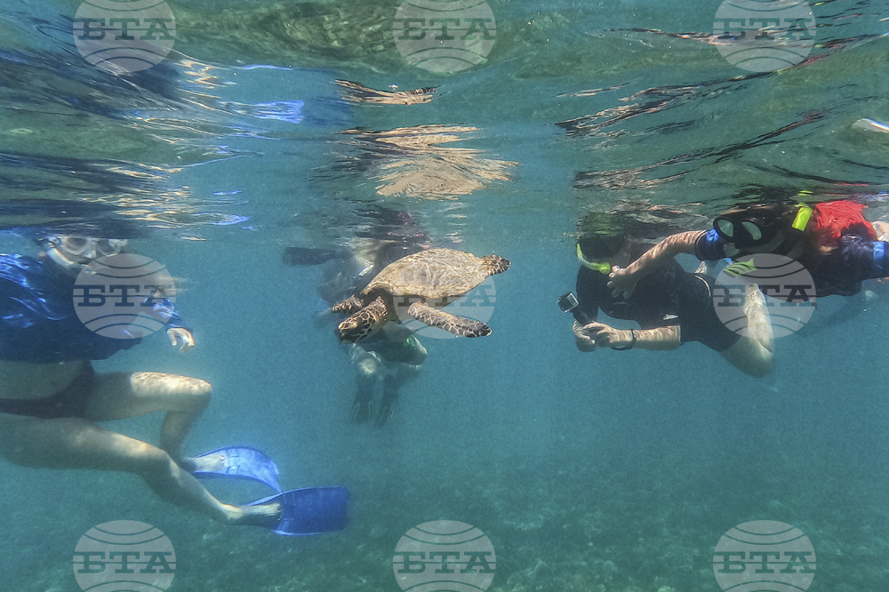 Pictures of the Week Latin America and Caribbean Photo Gallery