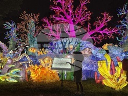 Chinese Lantern Festival Philadelphia