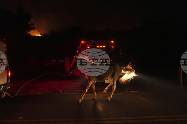 Пожарникари се борят с бързо разрастващ се пожар край междущатска магистрала близо до Лос Анджелис