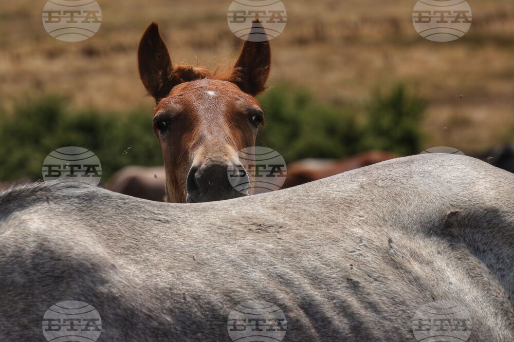 The Weather on September 24