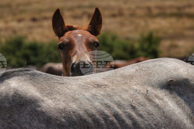 The Weather on September 24