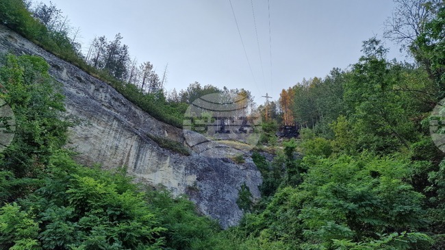 Пет декара борови насаждения са засегнати от пожара в Шуменското плато, съобщиха от Североизточното държавно предприятие