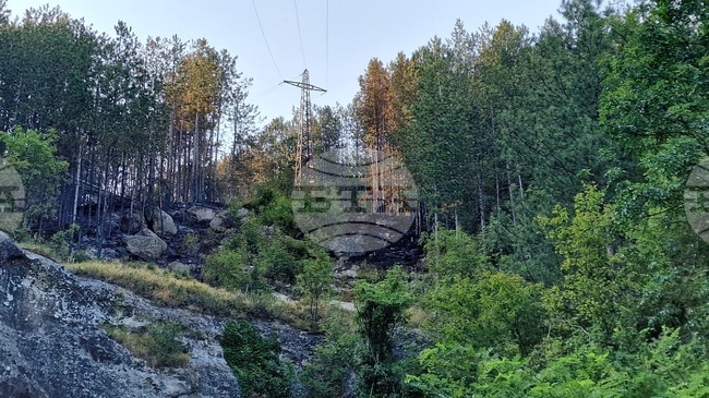Близо 20 декара смесена гора е унищожена при пожара, горял снощи в Шуменското плато