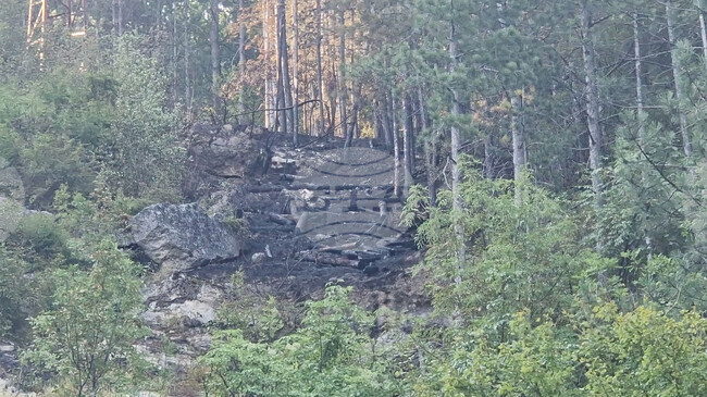 Игра с пиратки е причинила пожара в Шуменското плато, съобщиха от природния парк 