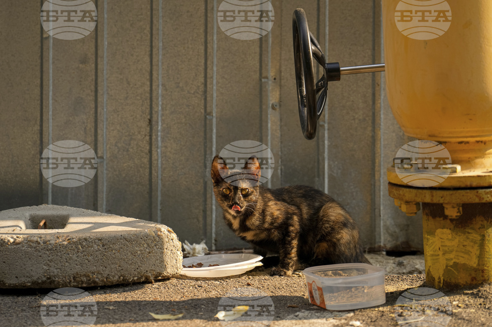 Romania Daily Life