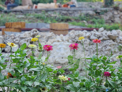 Шумен - чешма „Лъвчето" - реставрация