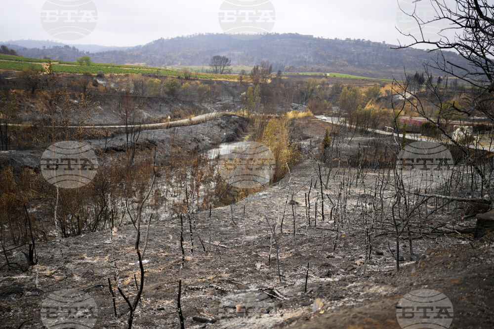 France Fires