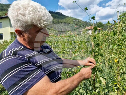 Село Смилян - фасул - Асен Тодоров