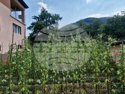 Село Смилян - фасул