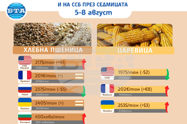 Цени на основни зърнени стоки по световните борси и на ССБ през седмицата 5-8 август