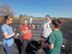 Зелени Балкани-32 умрели и 2 живи бели щъркела