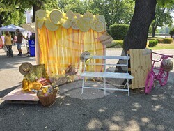 Видин - "На базар сме! В парка!" - инициатива