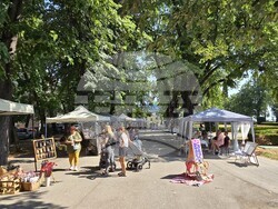 Видин - "На базар сме! В парка!" - инициатива