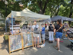 Видин - "На базар сме! В парка!" - инициатива