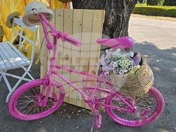 Видин - "На базар сме! В парка!" - инициатива