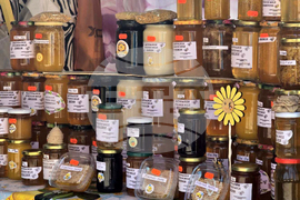 Добрич - цени - евро