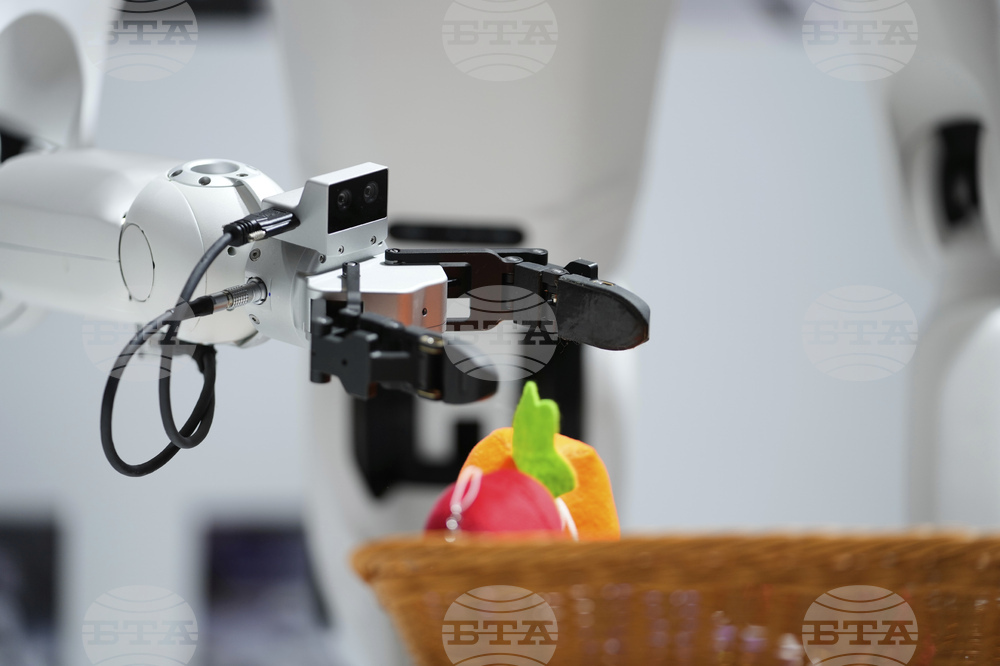 China World Robot Conference