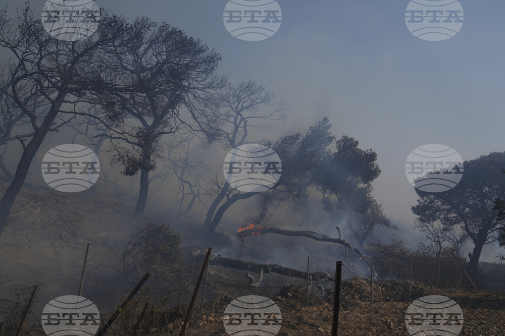 Greece Wildfires