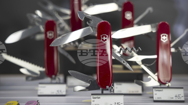 Началникът на Въоръжените сили на Швейцария заяви, че страната не може да се защити сама от пълномащабна атака