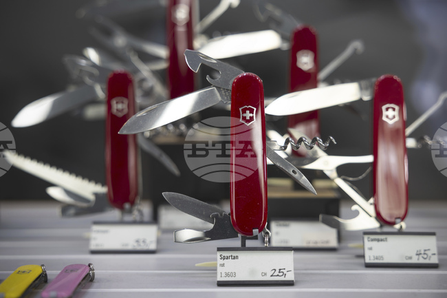 Началникът на Въоръжените сили на Швейцария заяви, че страната не може да се защити сама от пълномащабна атака