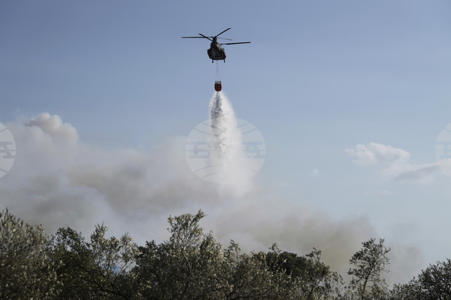 Подобрява се ситуацията с големия пожар източно от гръцката столица Атина