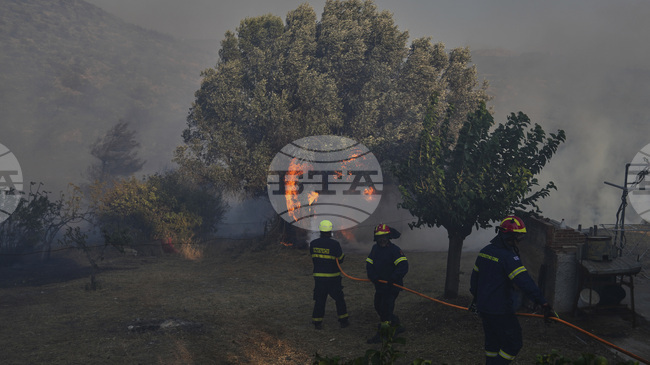 Нови горски пожари избухнаха в Гърция