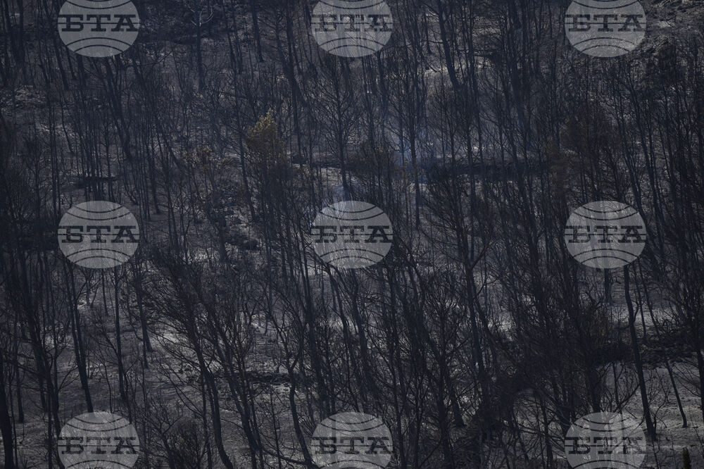 France Fires