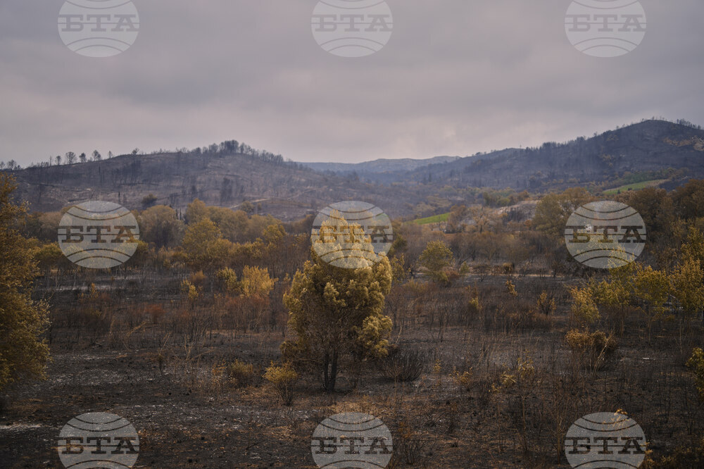 France Fires
