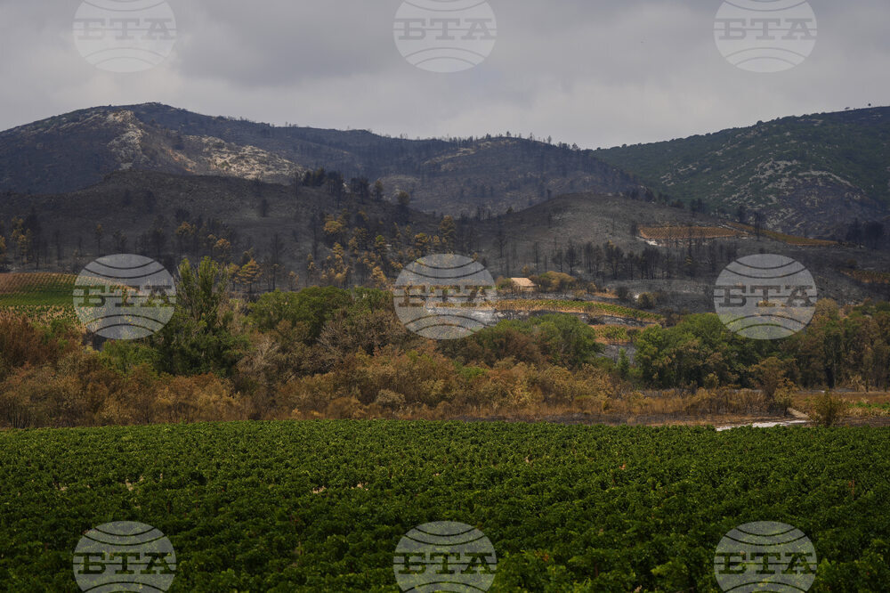 France Fires