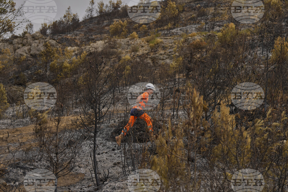 France Fires