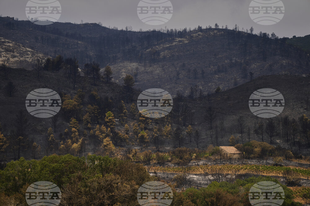 France Fires