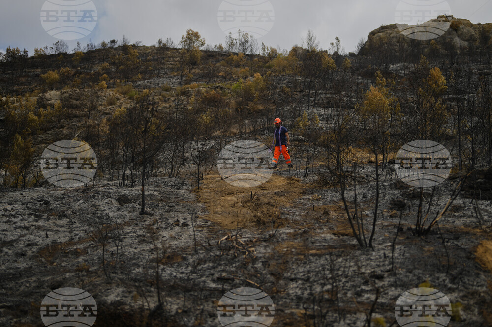 France Fires
