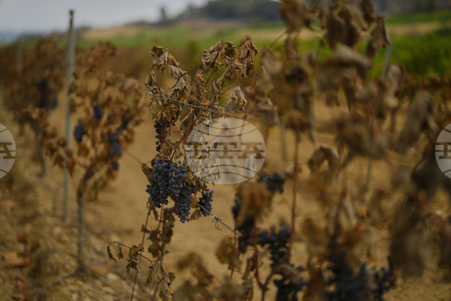 Пожарникари се борят да предотвратят повторното разпалване на огромен горски пожар във Франция, докато жителите се завръщат по домовете си