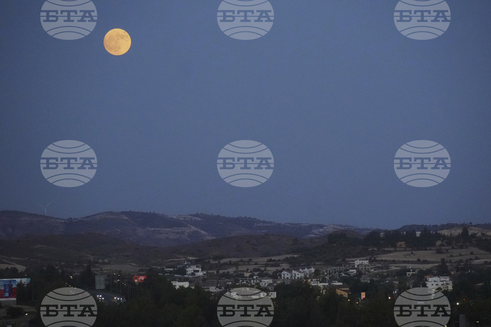 Cyprus Moon