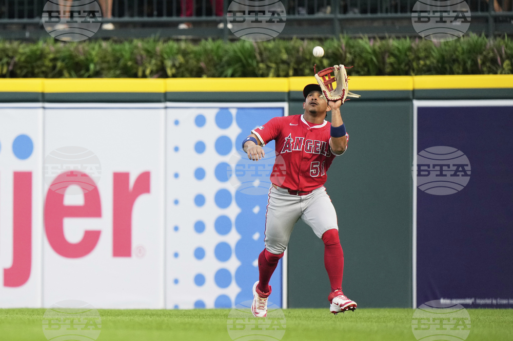 Angels Tigers Baseball