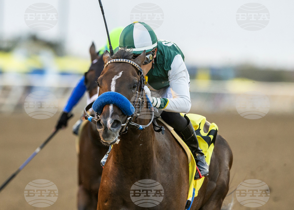 Del Mar Horse Racing