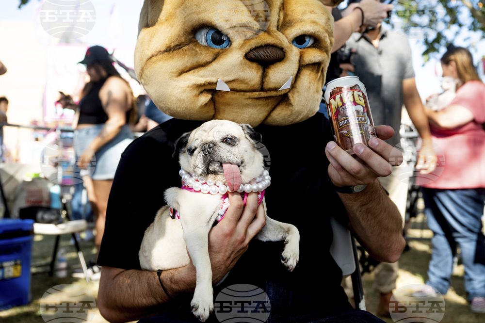 APTOPIX Ugly Dog Contest