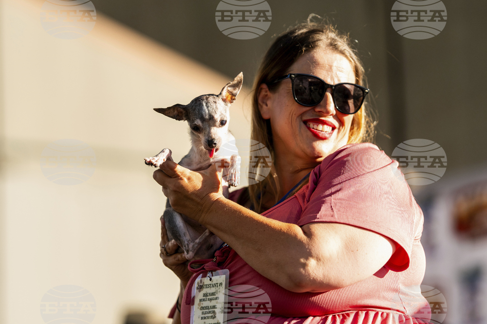 Ugly Dog Contest