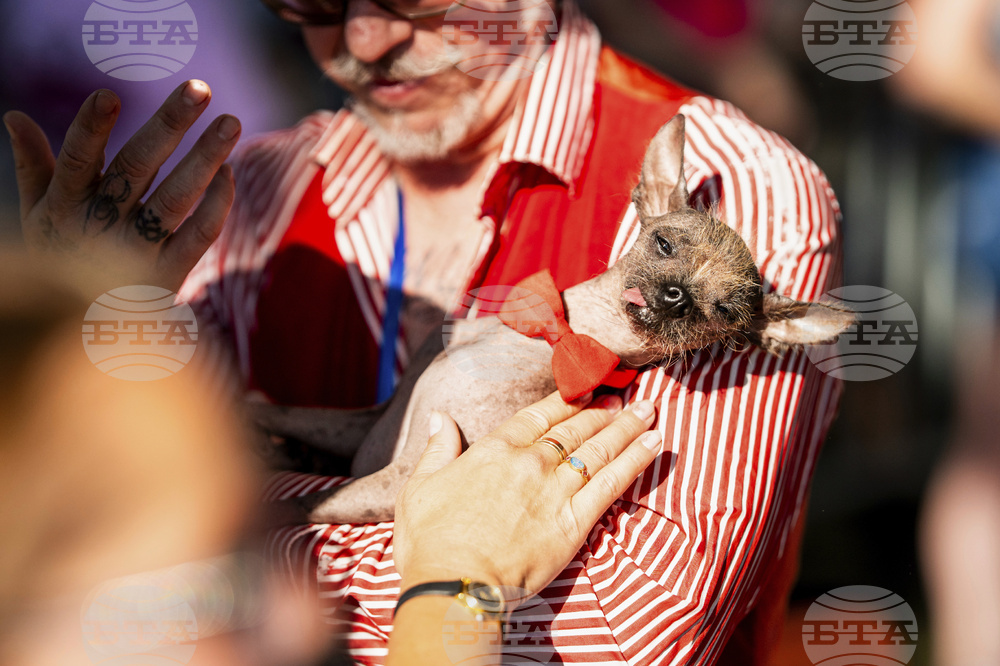 APTOPIX Ugly Dog Contest