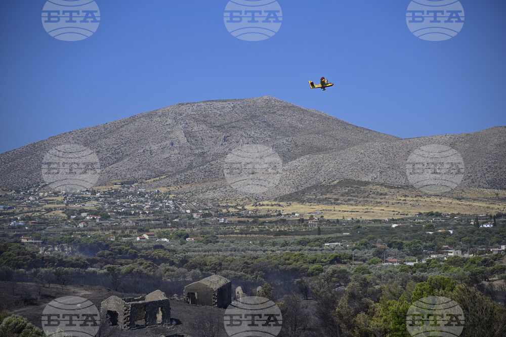 Greece Wildfires
