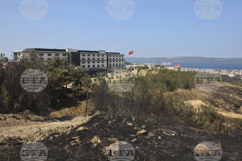 Turkey Wildfire