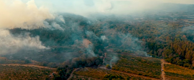 Wildfire Rages near Sungurlare, Military Helicopters Join Firefighting Efforts