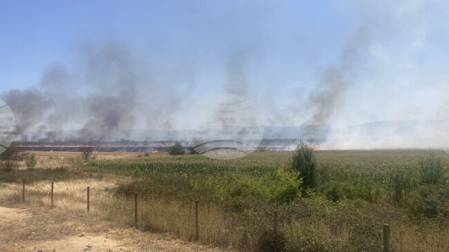 Движението при 86-ия км на магистрала "Тракия" в посока Бургас се осъществява нормално 