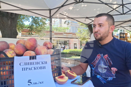 Ямбол - фермерско-занаятчийско изложение