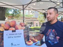 Ямбол - фермерско-занаятчийско изложение