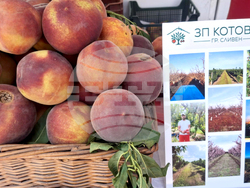 Ямбол - фермерско-занаятчийско изложение