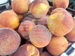 Ямбол - фермерско-занаятчийско изложение