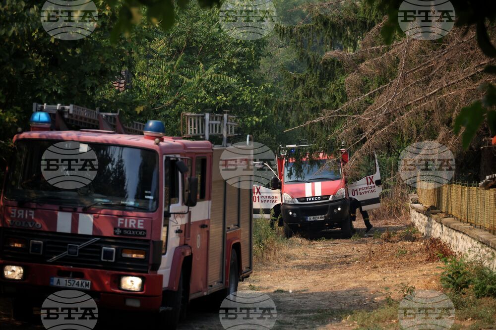 Заради барбекю пожар избухна в местност край Варна