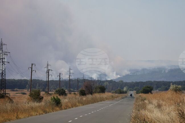 Пожарът в Сунгурларско отново се разрасна заради вятъра, огънят се насочва се към село Скала