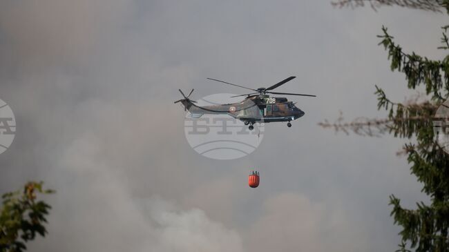 Wildfire in Sungurlare Municipality Spreads Again Due to Changing Winds